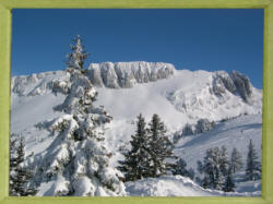 Domaine ski alpin Villard de Lans