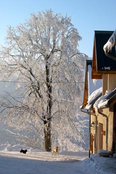 Auberge des Montauds - Winter view