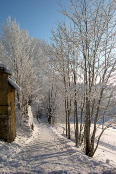 chemin centre ski Hotel ** Villard de Lans
